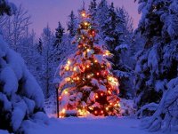 L'albero di Natale