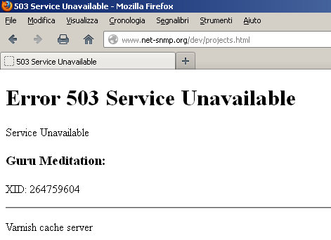 Guru Meditation varnish cache server