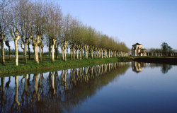 Riflessi in una risaia (Gravellona Lomellina, Lombardia)